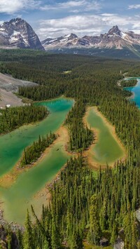 Lasy wokół jezior Mary Lake i OHara