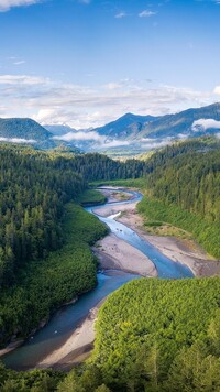 Lasy wzdłuż rzeki Elwha River