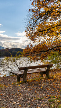 Ławka z widokiem na jezioro Staffelsee