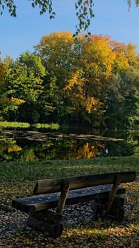 Ławka z widokiem na staw