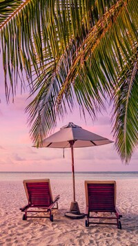 Leżaki pod parasolem i palmą na plaży