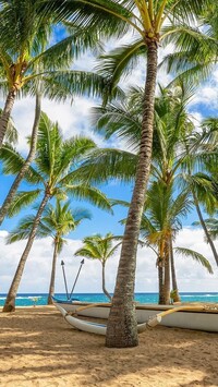 Łódka i palmy na morskiej plaży