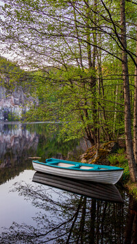 Łódka na brzegu jeziora pod drzewami