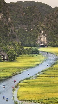 Łódki na rzece Ngo Dong w Wietnamie