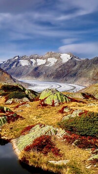 Lodowiec Aletschgletscher