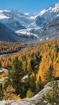 Lodowiec Morteratschgletscher