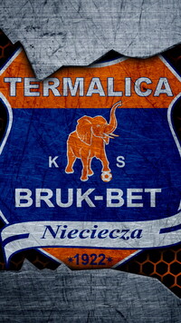 Logo Bruk-Bet Termalica Nieciecza