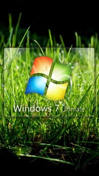 Logo Windows 7