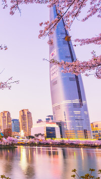 Lotte World Tower w Seulu
