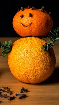 Ludzik z pomarańczy i mandarynki