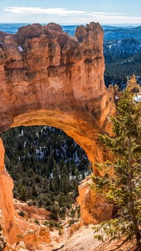 Łuk Natural Bridge w kanionie