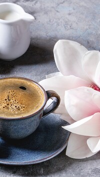 Magnolia przy kawie