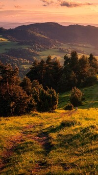 Małe Pieniny w Polsce