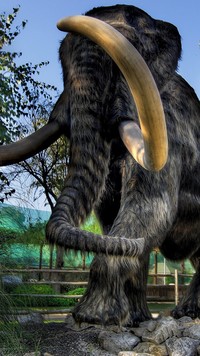 Mamut