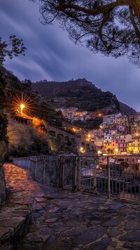 Manarola nocą