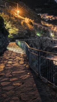 Manarola nocą