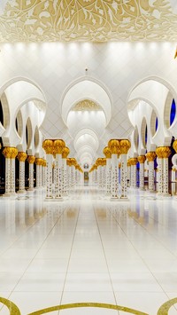 Meczet Szejka Zayeda