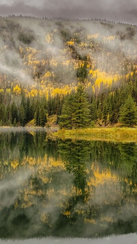 Mgła nad jesiennym lasem i jezioro