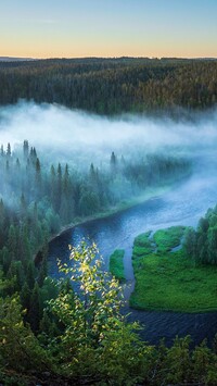 Mgła nad lasem i rzeką Kitkajoki