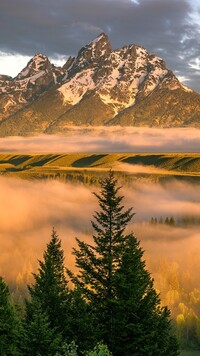 Mgła nad lasem w górach Teton Range