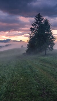 Mgła nad Małymi Pieninami