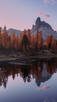 Modrzewie nad górskim jeziorem Lago Federa