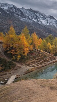 Modrzewie nad jeziorem Lac Bleu