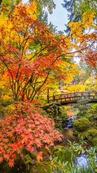 Mostek w ogrodzie japońskim w Portland