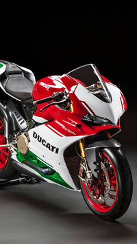 Motocykl Ducati 1299 Panigale R