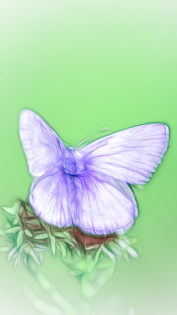 Motyl na kwiatku w grafice fractalius