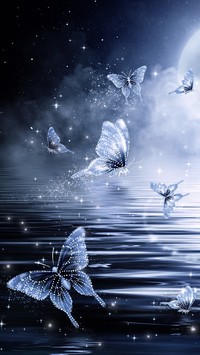 Motyle nad wodą nocą