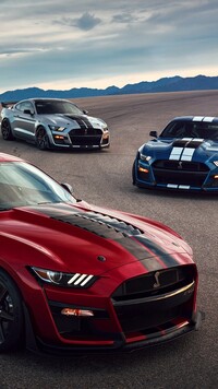 Mustangi Shelby GT500