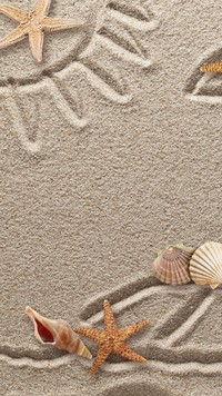 Muszelki na piasku