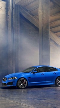 Niebieski Jaguar