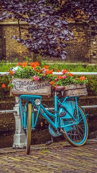 Niebieski rower ze skrzynkami kwiatów