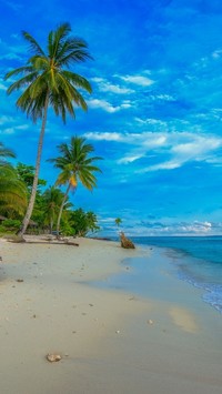 Niebieskie niebo nad morzem i plażą z palmami