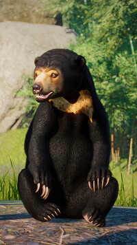 Niedźwiedź z gry Planet Zoo