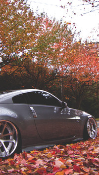 Nissan 350Z na jesiennej drodze