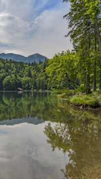 Odbicie drzew i gór w jeziorze Toplitzsee