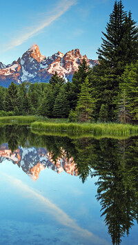 Odbicie drzew i gór w rzece Snake River