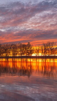 Odbicie drzew w jeziorze o zachodzie słońca