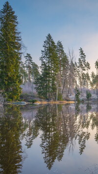 Odbicie drzew w rzece Virojoki River