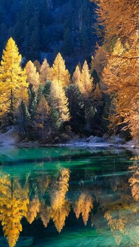 Odbicie rozświetlonych pożółkłych drzew w jeziorze