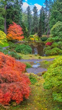 Ogród botaniczny jesienią