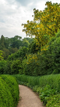 Ogród Powis Garden w Walii