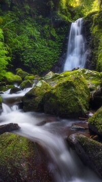 Omszałe kamienie przy wodospadzie Gwongurai Falls