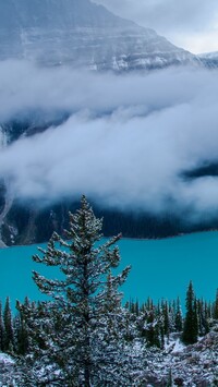 Opadająca mgła nad jeziorem Peyto Lake