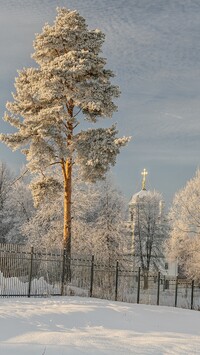 Ośnieżone drzewa i cerkiew za ogrodzeniem