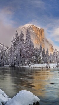 Ośnieżone drzewa i góra El Capitan