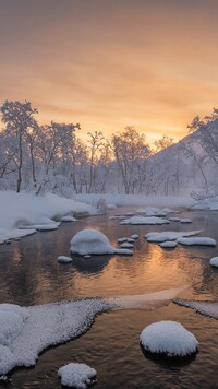 Ośnieżone drzewa nad rzeką